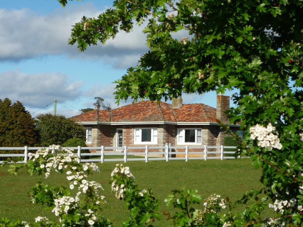 Little Sunnyside Accommodation Hagley Exterior foto