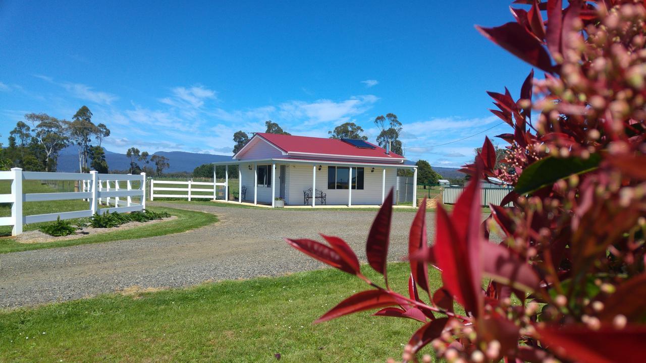 Little Sunnyside Accommodation Hagley Exterior foto